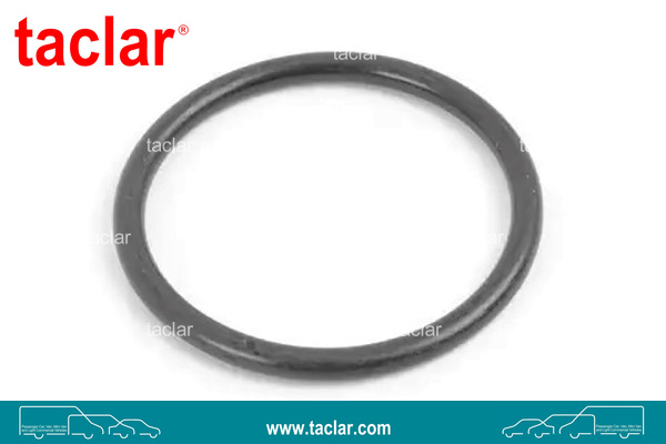 ORING GASKET RADIATOR HOSE 39,3