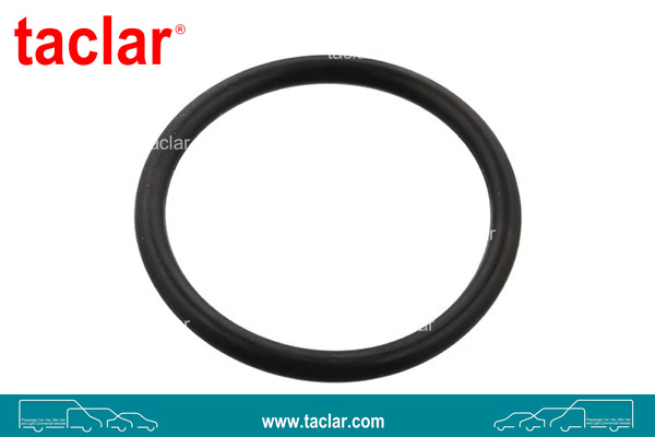 ORING GASKET RADIATOR HOSE 36