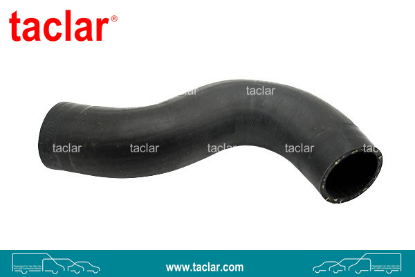 RADIATOR HOSE LOWER